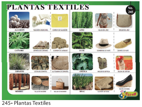 [F245] LAMINAS EDUCATIVAS PLANTAS TEXTILES
