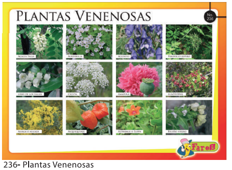 [F236] LAMINAS EDUCATIVAS PLATAS VENENOSAS