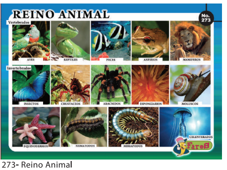 [F273] LAMINAS EDUCATIVAS REINO ANIMAL
