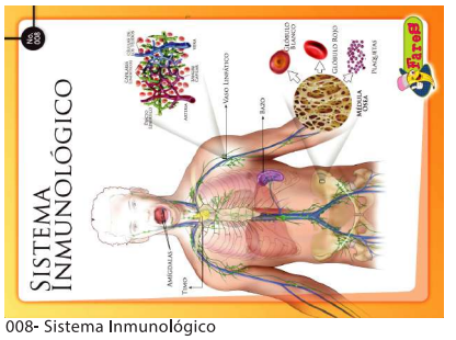 [F08] LAMINAS EDUCATIVAS SISTEMA INMUNOLOGICO