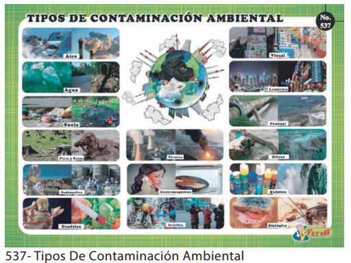 [F537] LAMINAS EDUCATIVAS TIPOS DE CONTAMINACION AMBIENTAL
