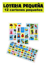 [5020-01] LOTERIA MEX-PEQUEÑA (12 CARTONES)