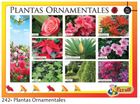 [F242] Laminas Educativas - f242 Plantas ornamentales