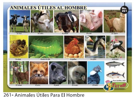 [F261] Laminas Educativas - f261 Animales utiles para el hombre