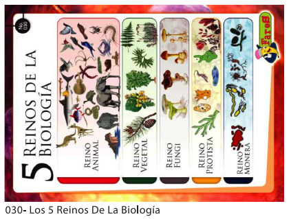 [F30] Laminas educativas  5 Reinos de la Biologia