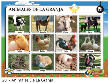 [F-201] Laminas educativas  Animales de la Granja