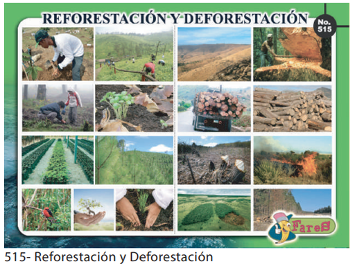[F515] Laminas educativas  La reforestacion y deforestacion