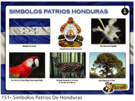 [F151] Laminas educativas  simbolos patrios de honduras
