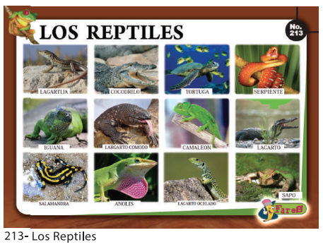 [F213] Laminas educativas - F213 Los Reptiles