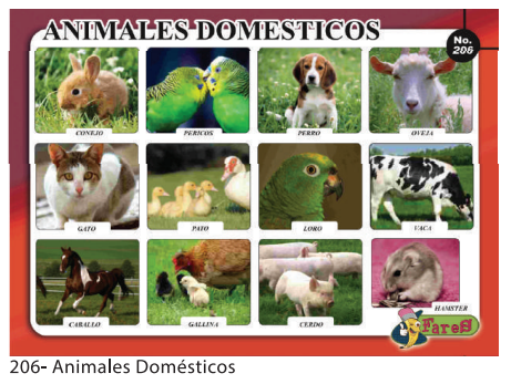 [F206] Laminas educativas - f206 animales domesticos