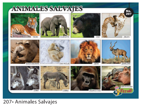 [F207] Laminas educativas - f207 Animales Salvajes