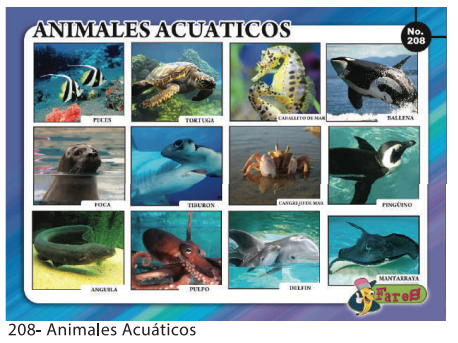 [F208] Laminas educativas - f208 Animales Acuaticos