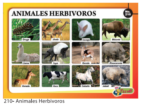 [F210] Laminas educativas - f210 Animales Herbivoros