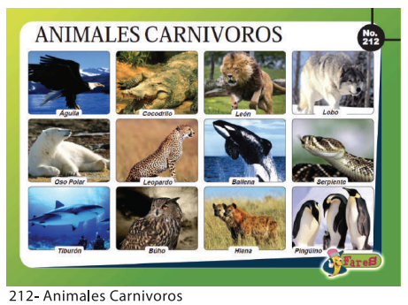 [F212] Laminas educativas - f212 Animales Carnivoros