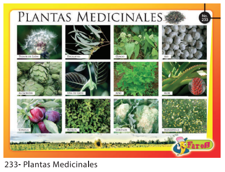 [F233] Laminas educativas - f233 Plantas Medicinales