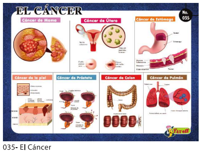 [F35] Laminas educativas El Cancer