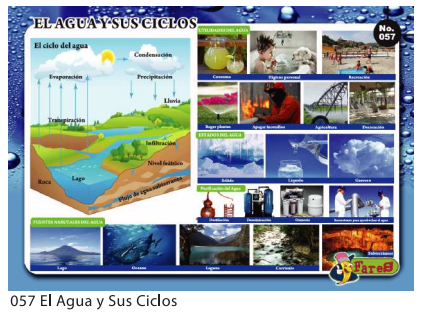 [F57] Laminas educativas El agua y sus ciclos