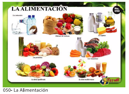 [F50] Laminas educativas La Alimentacion