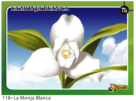 [F118] Laminas educativas La Monja Blanca
