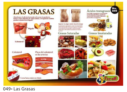[F-49] Laminas educativas Las Grasas