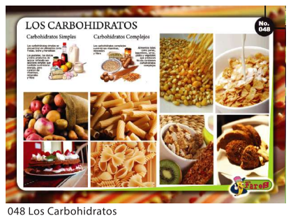 [F48] Laminas educativas Los Carbohidratos