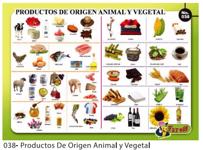 [F38] Laminas educativas Productos de origen animal y vegetal