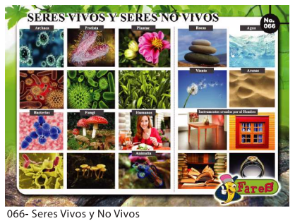 [F66] Laminas educativas Seres vivos y no vivos
