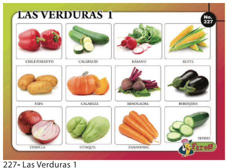 [F227] Laminas educativas f227 Verduras 1